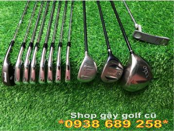 Bộ gậy golf cũ Titleist - Forged 670 (Nam fullset)